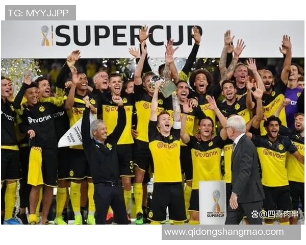 AC米兰与多特蒙德巅峰对决精彩回顾与战术分析 AC米兰与多特蒙德巅峰对决精彩回顾与战术分析