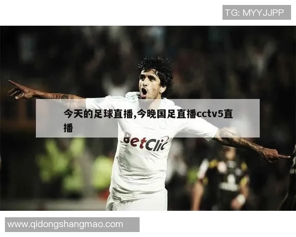 CCTV足球直播精彩瞬间回顾与深度解析 CCTV足球直播精彩瞬间回顾与深度解析